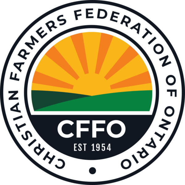 CFFO DTF 10x10 Thumbnail